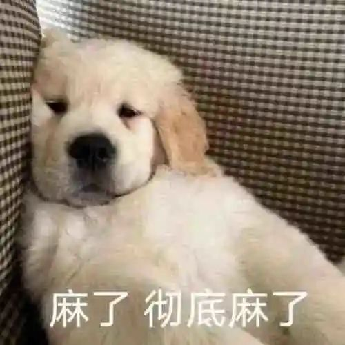 a0图片1.png